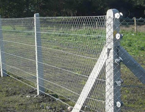 Technical Specifications